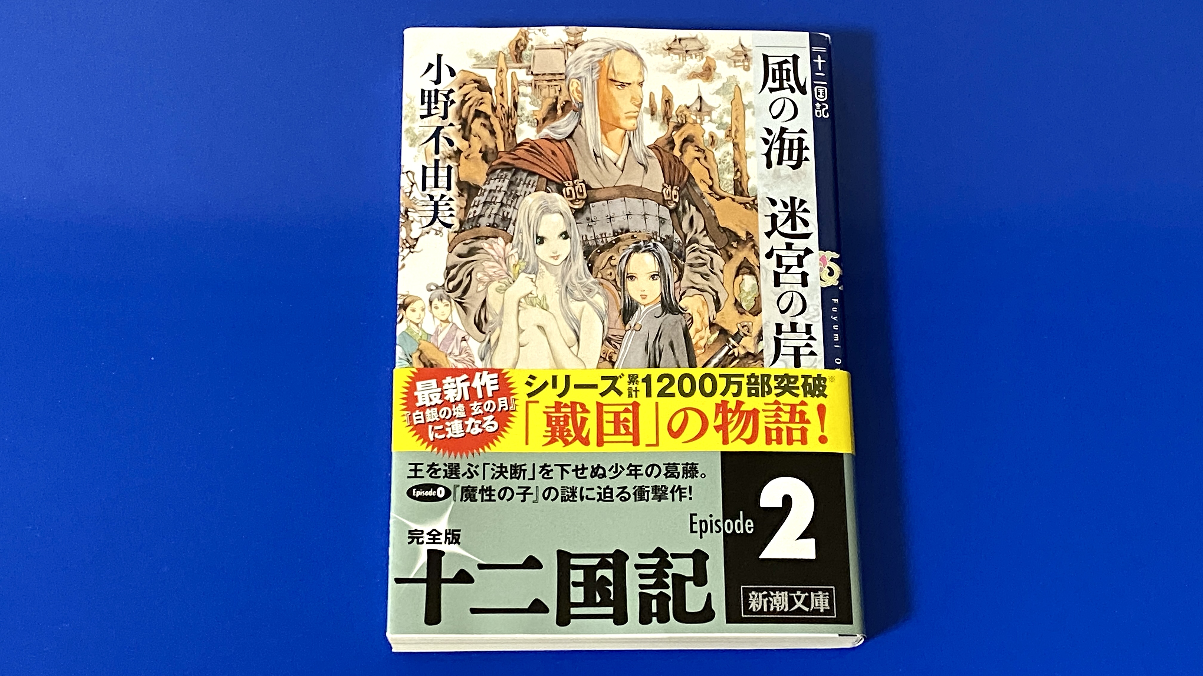 「十二国記 風の海 迷宮の岸」小野不由美