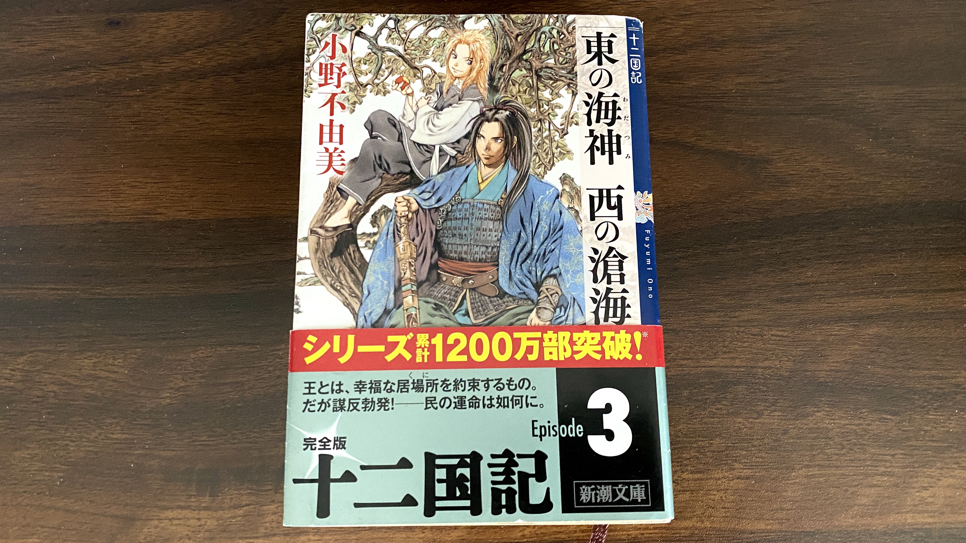 「十二国記 東の海神 西の滄海」小野不由美