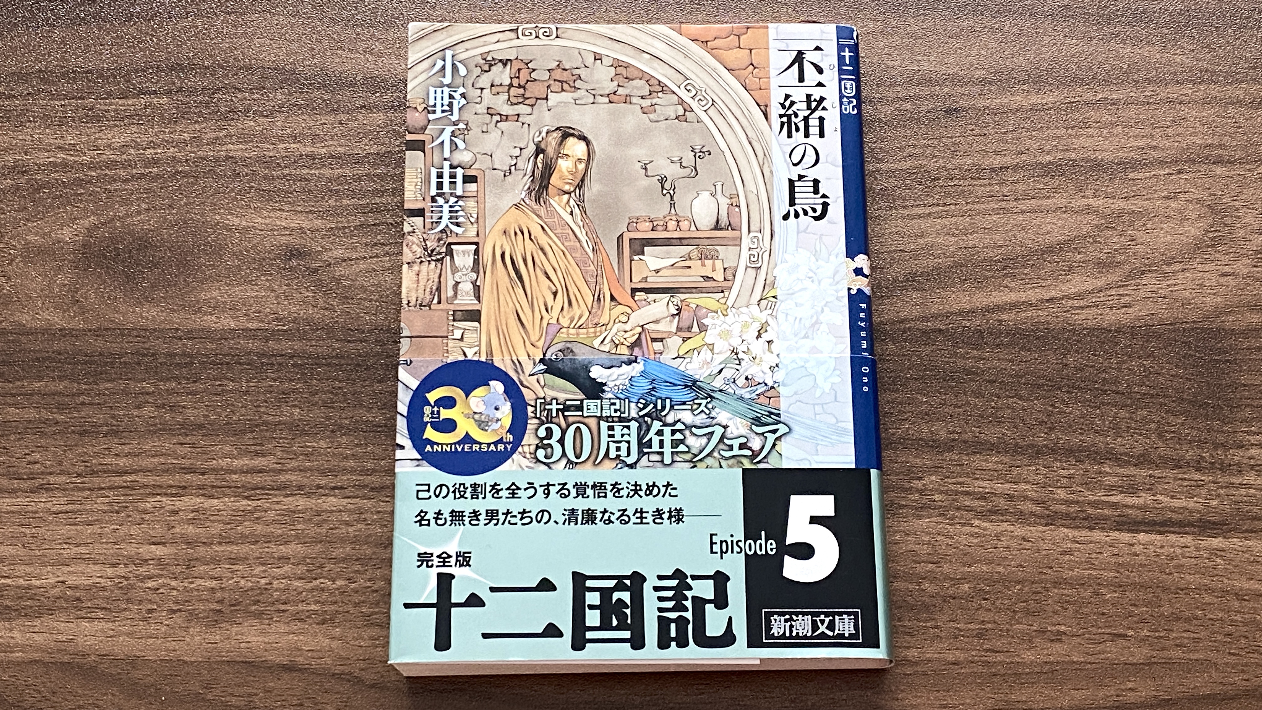 「十二国記 丕緒の鳥」小野不由美