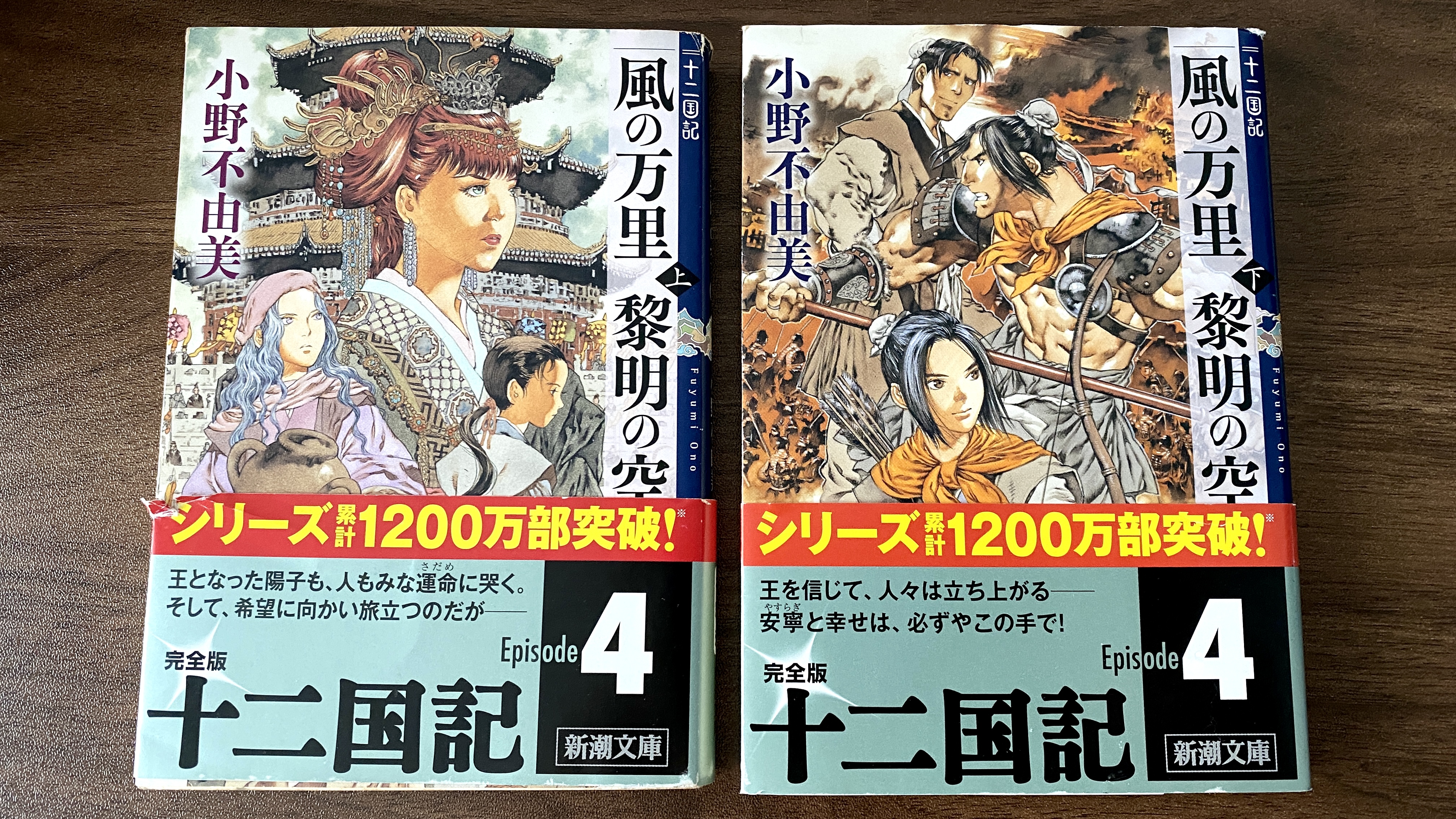 「十二国記 風の万里 黎明の空」小野不由美