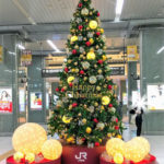 暖かい光が心地良い静岡駅のクリスマスツリー♪
