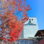 【癒しの空間】ホテル時之栖に泊まってきた