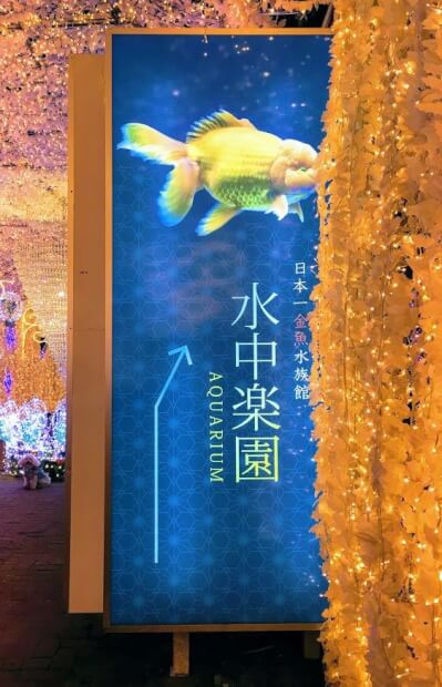 日本一の金魚水族館！水中楽園 Aquariumへ行ってきた