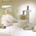 浜松駅でシロクマの親子に出会う!