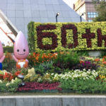 1人で東京タワーの夜景を思いっきり楽しんできたよって話